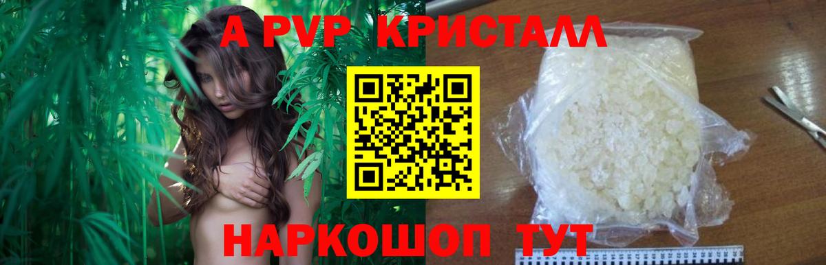 Альфа ПВП СК КРИС Аша