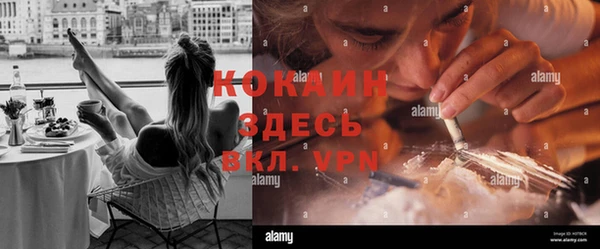шишки Няндома