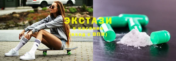 шишки Няндома