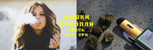 шишки Няндома