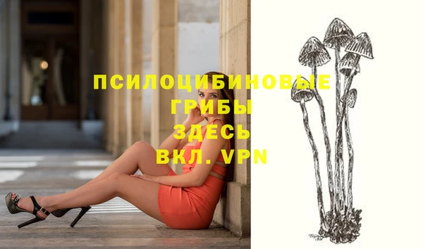 спайс Нягань