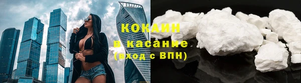 шишки Няндома