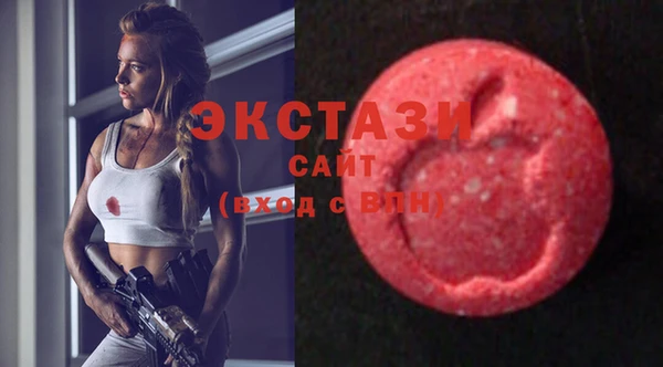 шишки Няндома