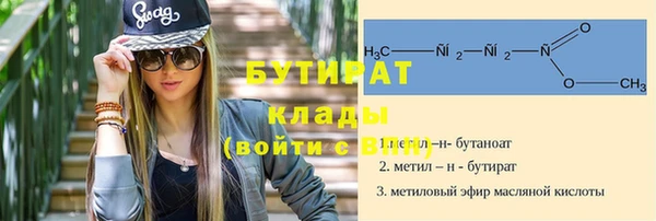 шишки Няндома