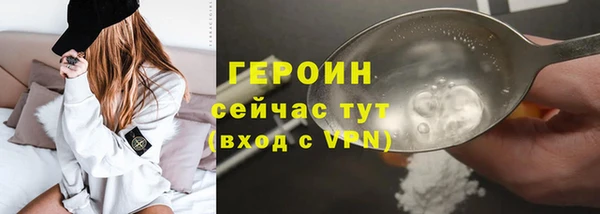шишки Няндома