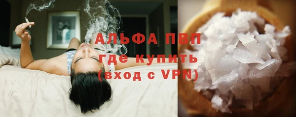 шишки Няндома