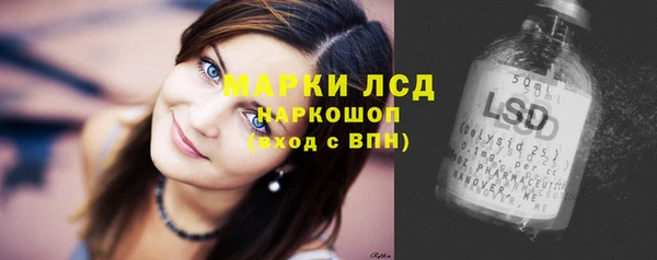 шишки Няндома