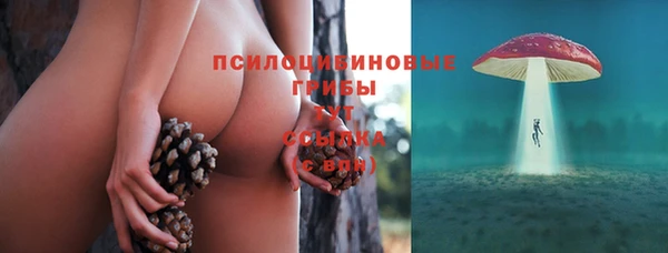 mix Нязепетровск