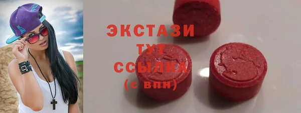 шишки Няндома