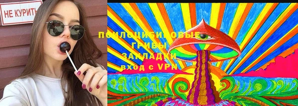 спайс Нягань