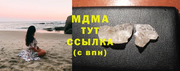 шишки Няндома