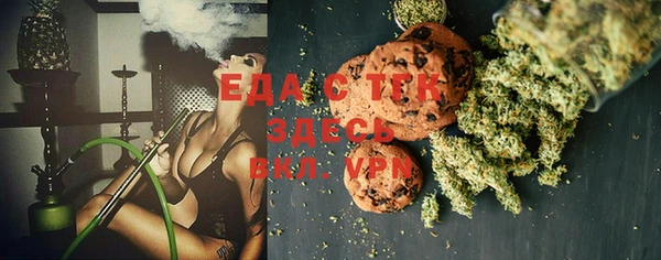 шишки Няндома