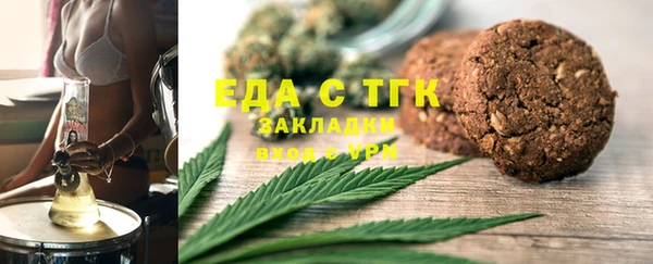 шишки Няндома