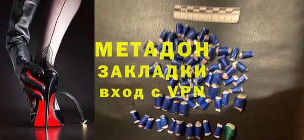 шишки Няндома
