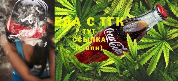 шишки Няндома