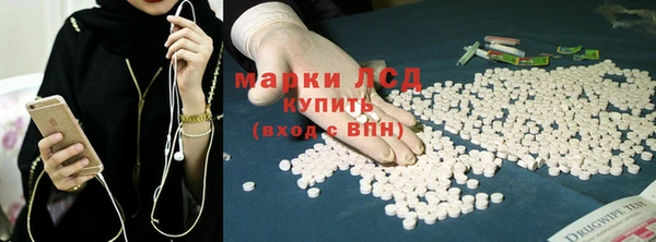 шишки Няндома