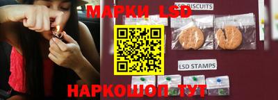 хмурый Аргун