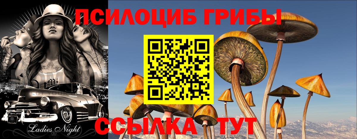 Галлюциногенные грибы GOLDEN TEACHER  Аша 